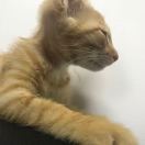 这是一个可以自定义的昵称 头像