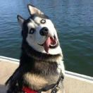 I BELIEVE I CAN FLY 头像