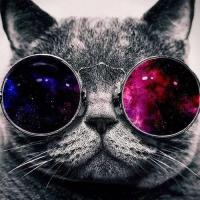 南征北战Coding 头像