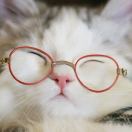 穿裤子的云 头像