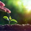 Robin_客如云 头像