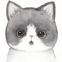 hello_world2018 头像