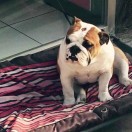 ANGUEST ROUTINE 头像