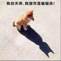 更乖宝宝 头像