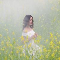 ElaineWen 头像