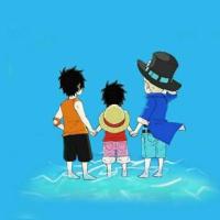 幸福拾荒者 头像