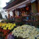 飞花逐水流 头像