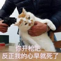 oh小数点 头像