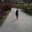 幸福的小鸟 头像