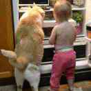 拼命十三郎 头像