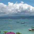 技术部-章欢 头像