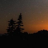 再见阿凡达丶 头像