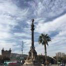 山大王在湾区 头像