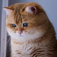 丁源(156*****518) 头像