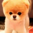 原来你也在这里 头像