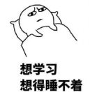 二马正在输入...... 头像