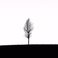 HelloStranger 头像