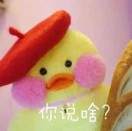 吹泡泡的鱼 头像