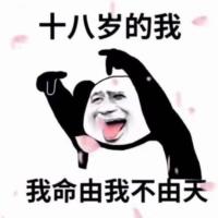 码砖陈木杉 头像