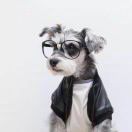 红豆生南国 头像