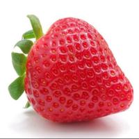 Peter Pan pan 头像