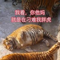 秦翊歌 头像