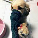 宇文干煸豆干 头像