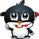 顺通网络-17051090175 头像