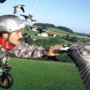 卡丁亥sunms 头像