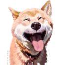 👑   王佳浩 头像