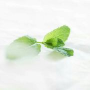 天山雪莲儿Er 头像