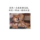 对方输入很慢 头像