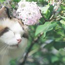 电线杆先生要增肥 头像