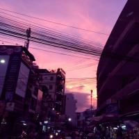 克隆小杏仁 头像