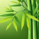 阿娇 头像