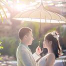 长不大的彼得 头像