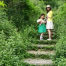 李若竹🌻 头像