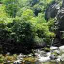 wei3141592654 头像