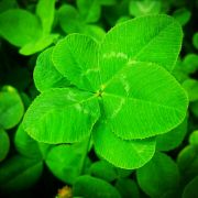 BlueBridge0301 头像