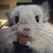 小葵想欧洲 头像