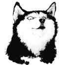 🤗 🤗 🤗 🤗 头像