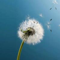 前尘忆梦Memory 头像