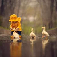 且听且吟_ 头像