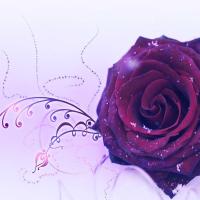 阳光下的小魔怪 头像