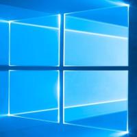 枫哥哥他哥 头像