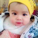 技术平台-杨露 头像