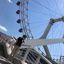 阿宇summery🔆 头像