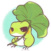 思维导图爱好者 头像