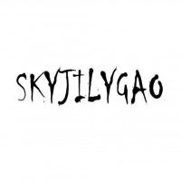 skyjilygao 头像