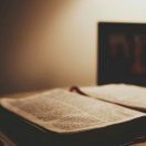 Winson(Qi Ming Tao)  头像